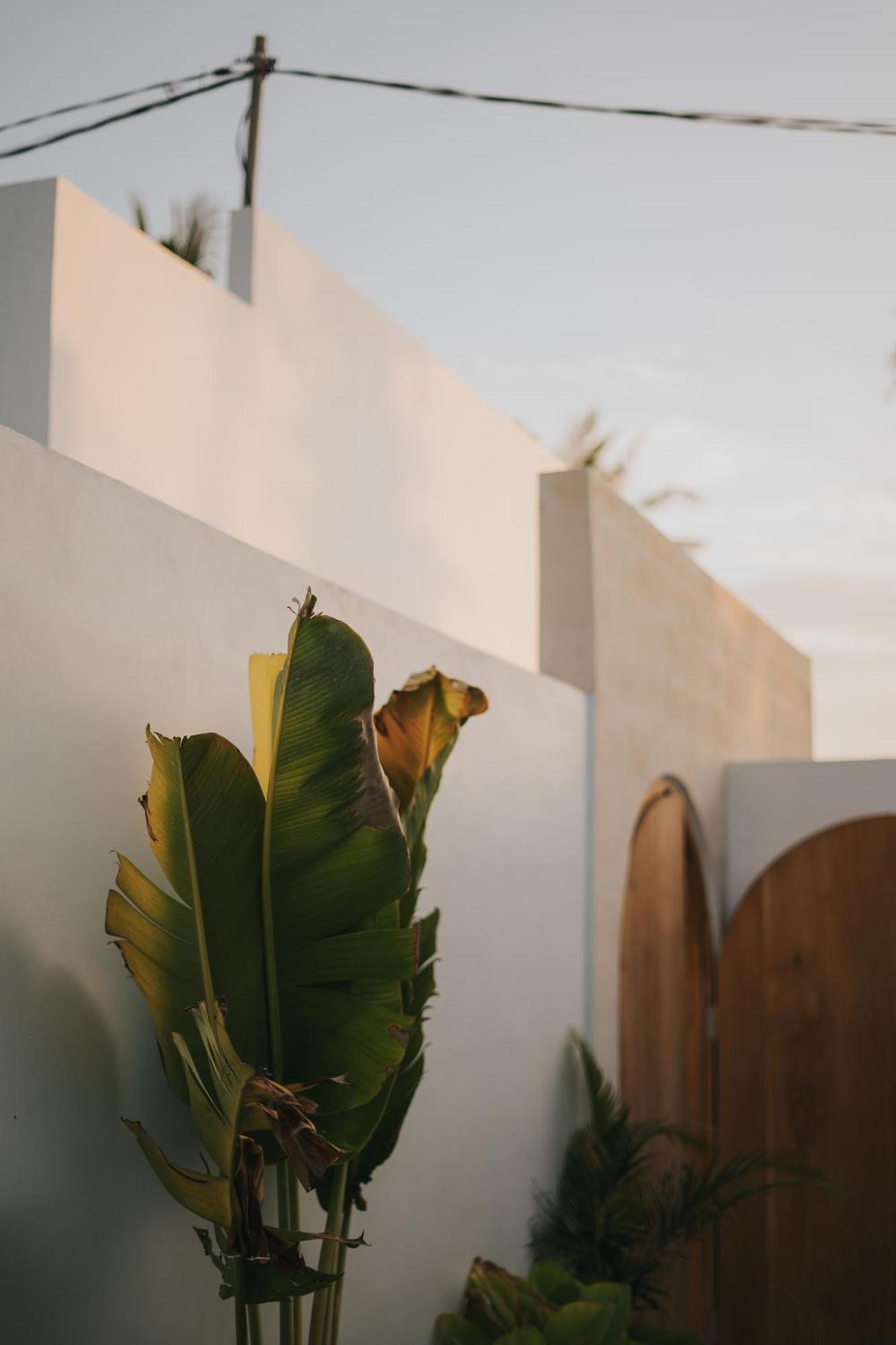 Brandon Villa Lovina With Private Pool Ngoại thất bức ảnh