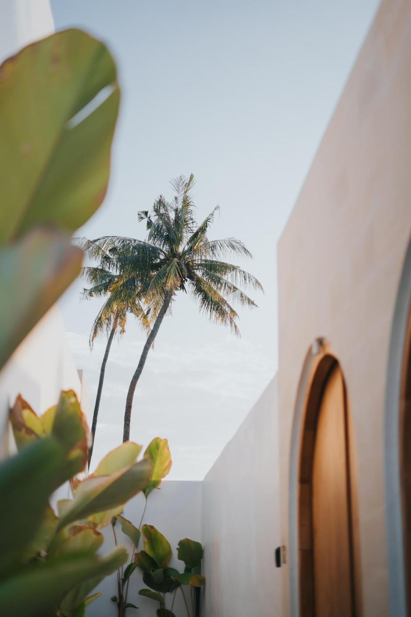 Brandon Villa Lovina With Private Pool Ngoại thất bức ảnh