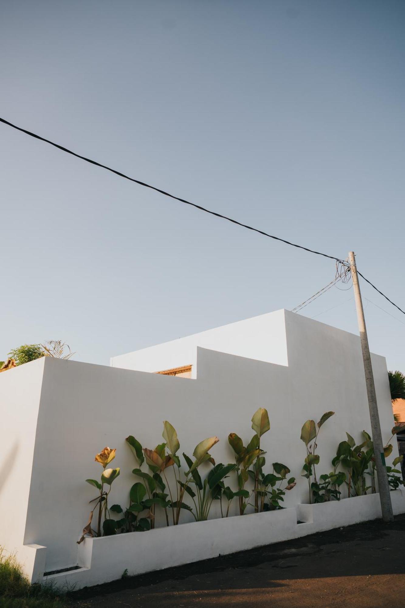 Brandon Villa Lovina With Private Pool Ngoại thất bức ảnh
