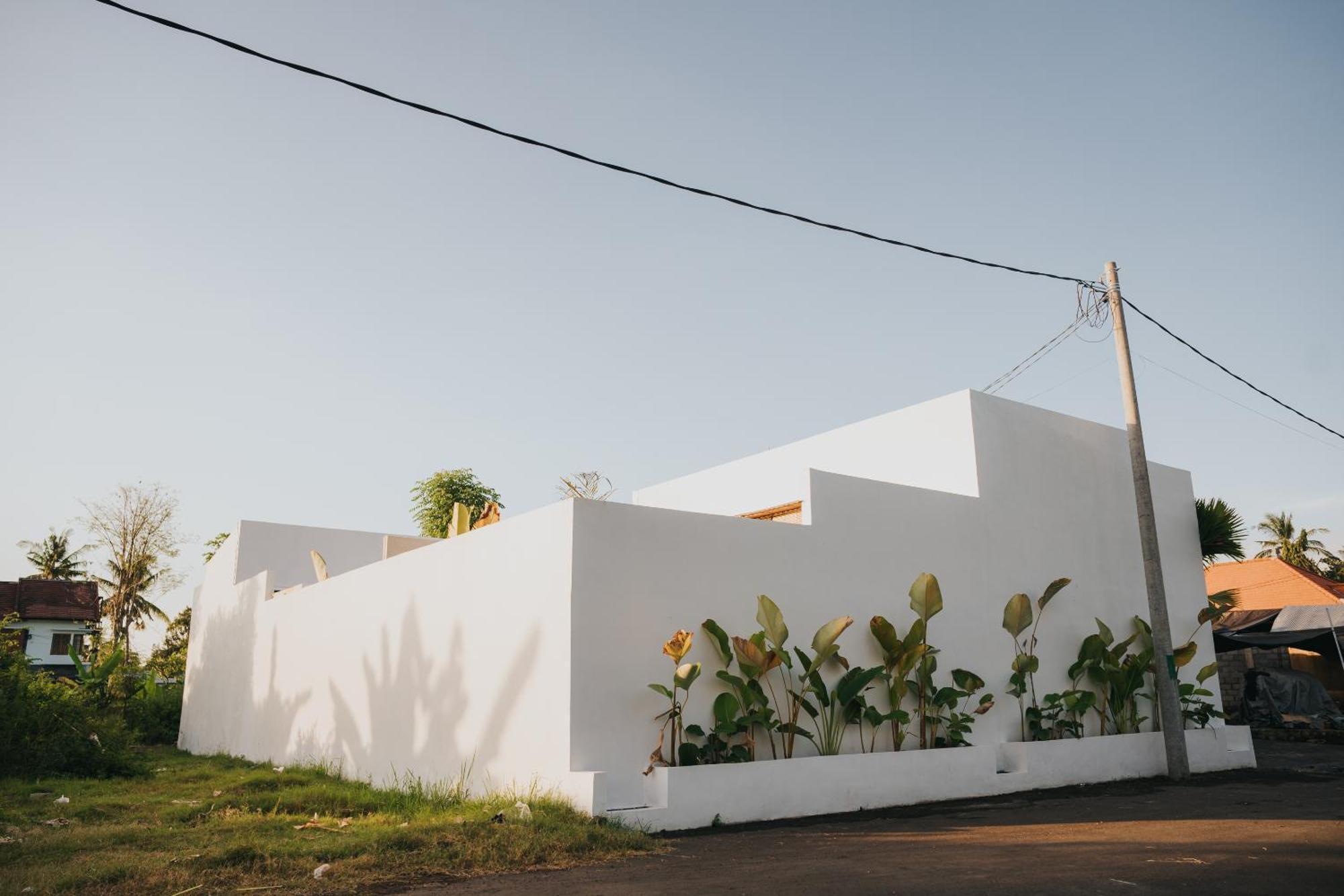 Brandon Villa Lovina With Private Pool Ngoại thất bức ảnh